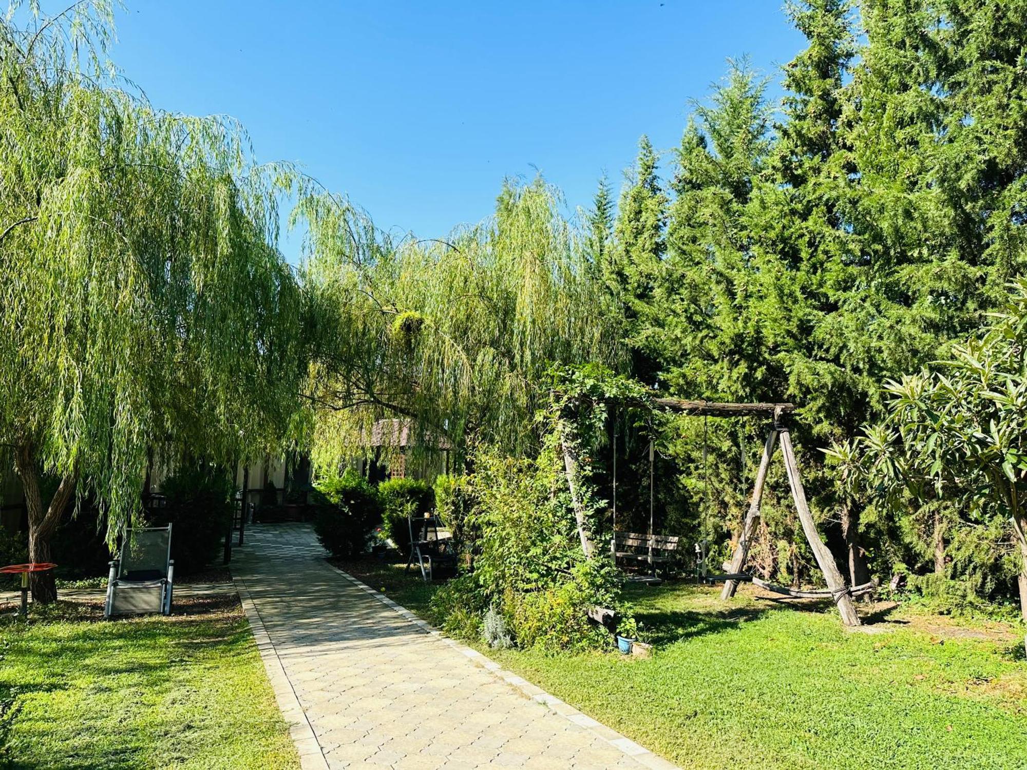 Green House Kvareli Extérieur photo